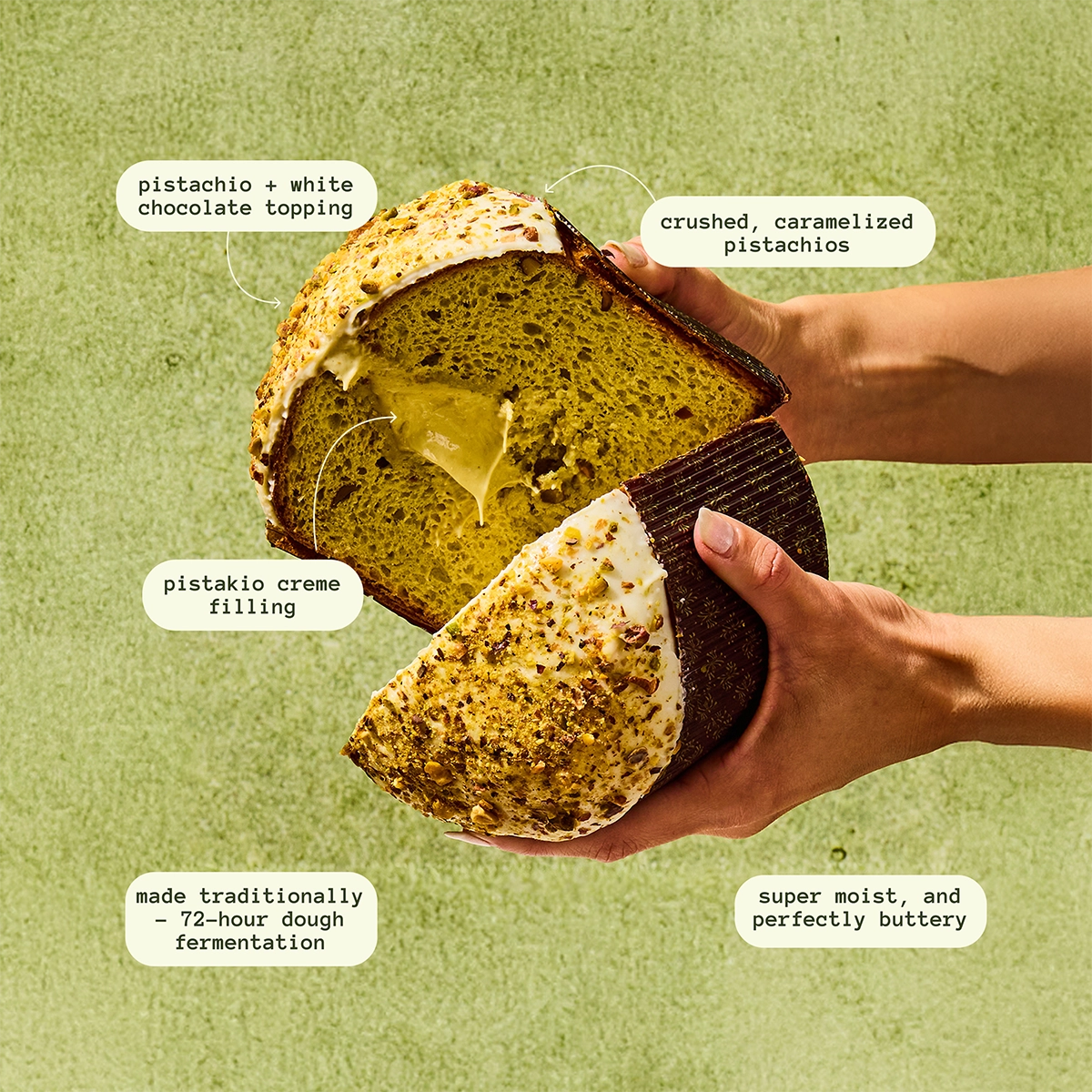 Pistakio Panettone w/ Settepani Bakery